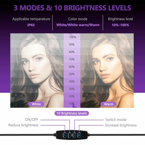 Ring Light With Phone Tripod Stand Kit 10"